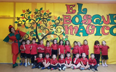 El bosque mágico