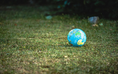 Proyectos medioambientales
