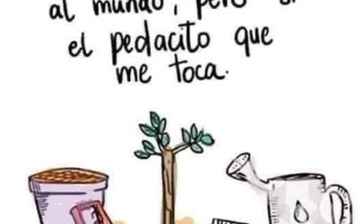 Proyecto: Escuela de Calidad Ambiental