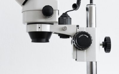 La materia cambia