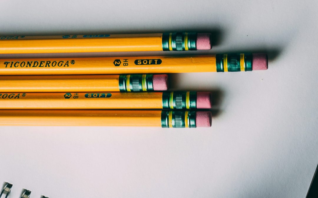 Nuevos educadores. Trabajos del Curso 2023-2024