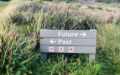 Diario del pasado futuro